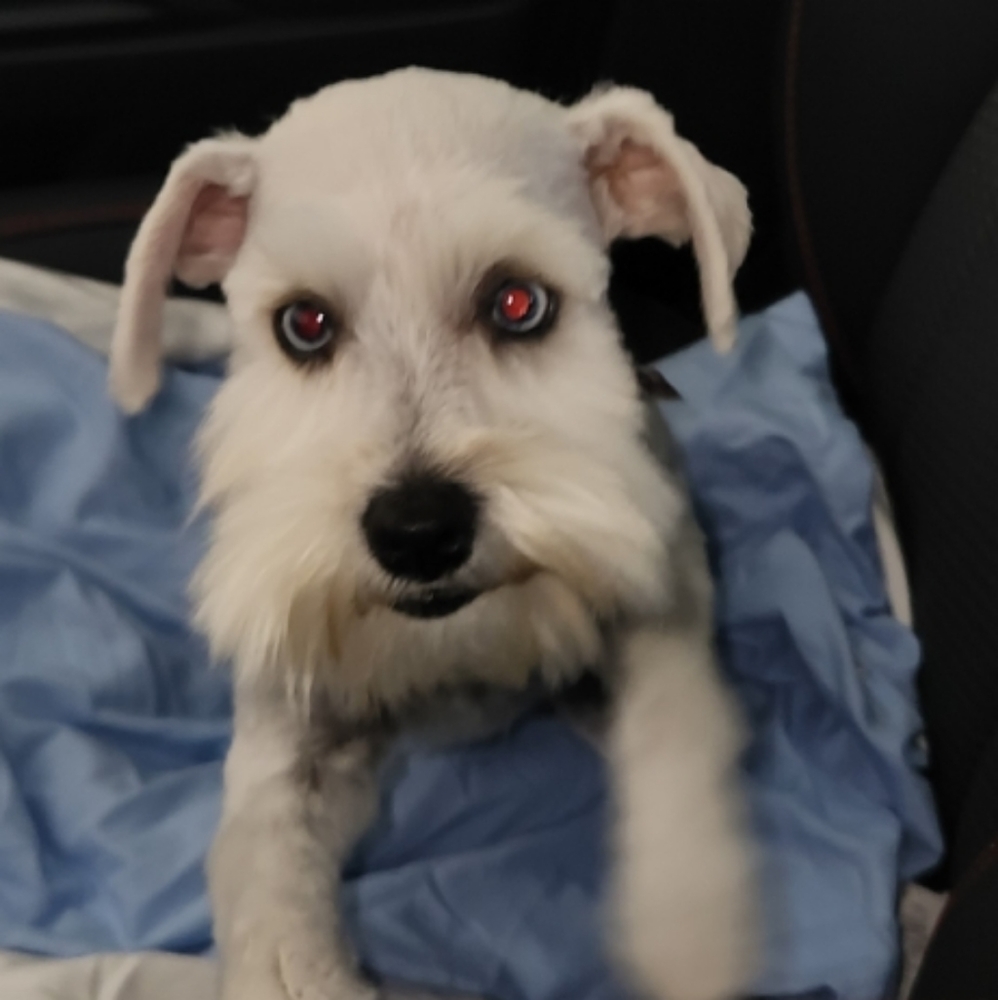 Meet your Posher, Jen